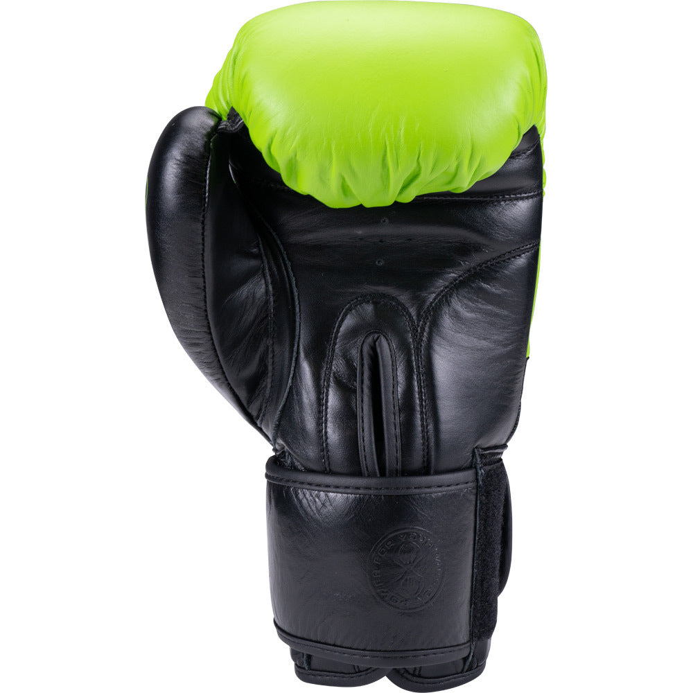 Sting Orion 16oz Sparring Gloves